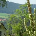 Kaufmann Baiersbronn