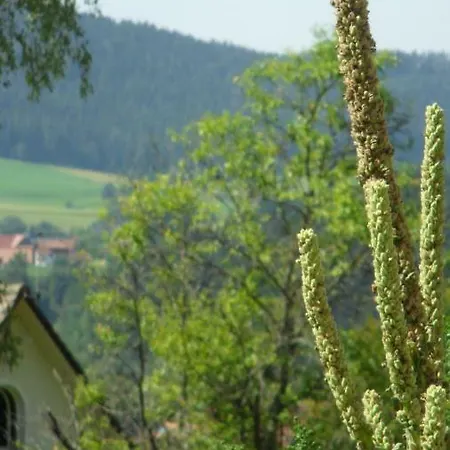 Kaufmann Baiersbronn