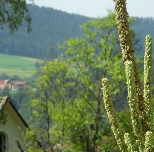 Kaufmann Baiersbronn